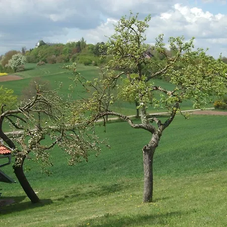 Bockelt * Stadtlauringen