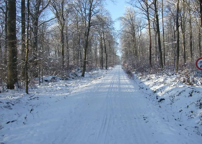 Daire Bockelt Stadtlauringen